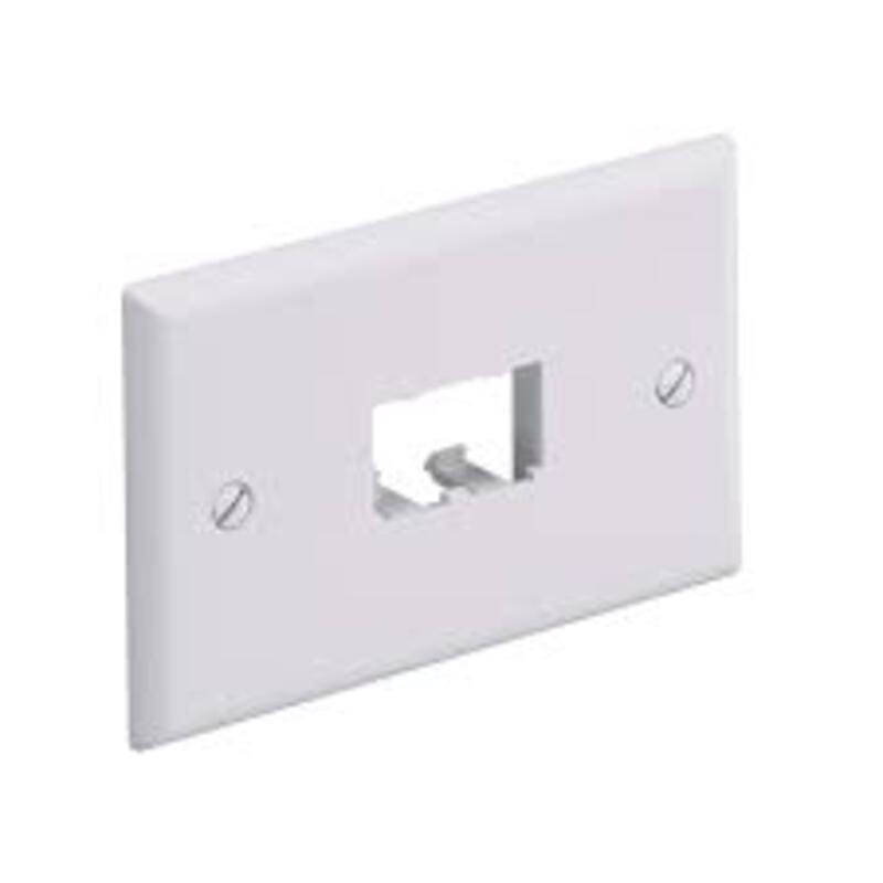 Horizontal Faceplate, Double