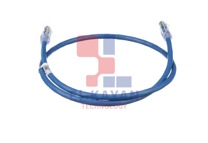 Patch Cord UTP Cat6A - PVC - 1Mt.