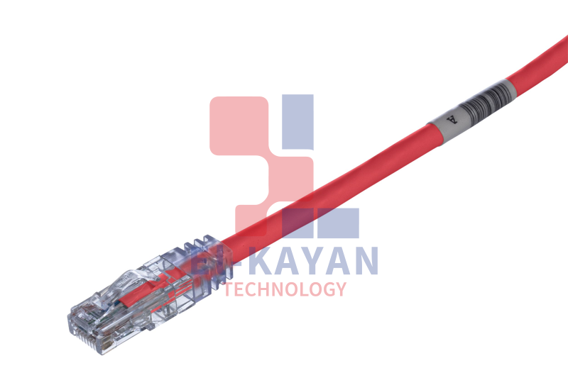 Patch Cord UTP Cat6 - PVC - 3Mt.